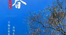春已至，万物始丨今日立春