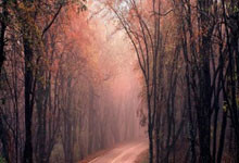 摘镜5分钟，检查却要两小时？！近视手术前查什么？少查两项行不行？