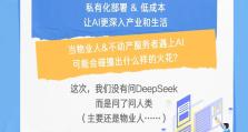 DeepSeek爆火后，我们问了物业人 | 万物灵石