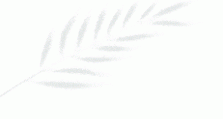 邀请函 | in-cosmetics Latin America 2024